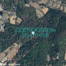 THE세계로공인중개사사무소 이미지