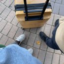 언타이틀보틀샵 | [제주도/아카이브, 고사리커피, 언타이틀보틀샵, 성산일출봉농협 하나로마트, 휘닉스 제주 섭지코지...