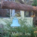 조수초등학교 이미지