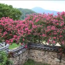 역사기행 코스 이미지