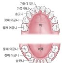 이엔치과 네이버블로그