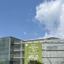 정씨고찌 | 제4회 사찰음식 대축제 후기 :: 양재 AT센터 박람회 그리고 미니말레 카페 · 꽃시장 구경까지