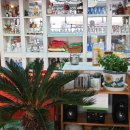 남문중앙치과의원 이미지