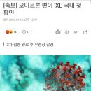 [속보] 오미크론 변이 ‘XL’ 국내 첫 확인 이미지