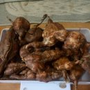 참정직한농장
