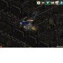 돼지나라 이미지