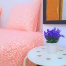 까사보니따 이미지