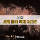 사진과 함께하는 세계여행 | [서울] 한화와 함께하는 서울세계불꽃축제 2025 주차장관람석 후기 (+꿀팁)