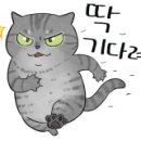 힐타이 이미지
