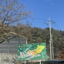 허브목장 | 양평양떼목장 양평여행 돌아기랑 방문 후기 추천