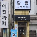 담음 | 대전 서구 둔산동 사진관 추천, 담음스튜디오 촬영 후기