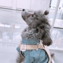 다솜의류 이미지