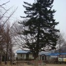 매곡초병설유치원 이미지