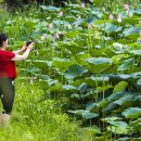 홍연농장 이미지