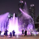 동탄센트럴파크 인라인스케이트장 | 화성시 동탄 센트럴파크 공원