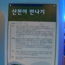 토속어류생태복원체험관 이미지