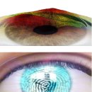 커스텀아이즈 이미지