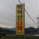 평창백덕산더덕 이미지