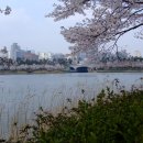 서울대원공인중개사사무소 이미지