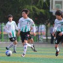 제물포중학교 이미지