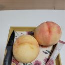 경희진심한의원 이미지