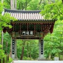 구룡사 Daum카페