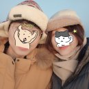 (주)스카이브 | 임산부일상 마지막. 임신 36주~38주 돼지런한 노산모 혈압이슈