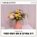 행복을주는꽃 | 만원의 행복! 유스풀몰 꽃정기구독 , 거실이 화사한 꽃밭이 됐어요! 🌸 (직접 경험 리얼 후기)