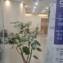 아이엠유의원 이미지