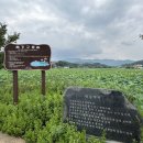 유등연지 둘레길 이미지