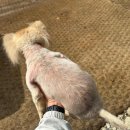 도매시장로 4 네이버블로그