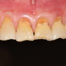 필치과병원 이미지