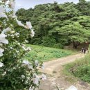 일성티엔씨지리산지점 | ■ 경주남산 일성왕릉, 남산신성, 해목령, 창림사지 삼층석탑 일몰산행