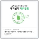 콩PC | 글쓰고 기부한 후기 (feat.해피빈 기부 콩 모으기)