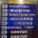 영남한약방