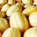 늘찬농장 이미지