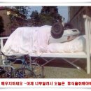 쎄시 이미지