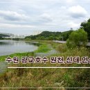 12월31일(토)수원 먼섬숲공원길,신대,원천 광교호수길/마감 이미지