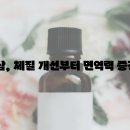풍기 이미지