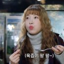 디자인카이 이미지