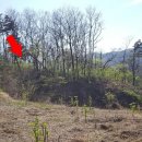 감정2리경로당 이미지