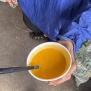 원빈프라자 인도쪽 | 5월 비수기의 자이살메르 2,3일차 호캉스(?) 후 사막투어 (라씨 맛집, 원빈네 사파리)