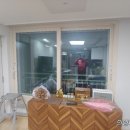 블라인드나무 이미지