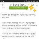 퀸즈헤나 이미지