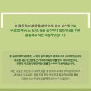 리팅성형외과의원 이미지