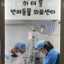 하태흥반려동물의료센터 이미지