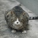 동수5길 이미지