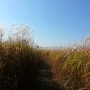 원평2로 이미지