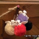 곰다방 이미지