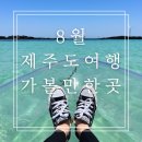 신화여객 | 6박 7일 제주도 여름휴가 8월 가볼 만한 곳 여행 코스 추천 제주 가족여행
